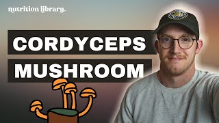 Cordyceps Mushroom  Benefits  How Cordyceps Works [upl. by Ifill]