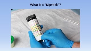 Interpretation of the Urinalysis Part 2  The Dipstick [upl. by Jerman]