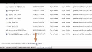 Office 365  Recycle Bin [upl. by Hach137]