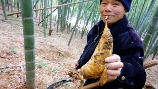 CHINESE STREET FOOD  BAMBOO HUNTING  Village Food tour in China  EXOTIC Street Food in China [upl. by Vincent251]