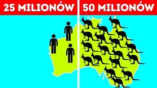 50 faktów o Australii które łamią wszystkie stereotypy [upl. by Elyrpa]