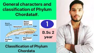 General characters and classification of Phylum Chordata  BSc 3rd Year Zoology 5th Sem 2nd paper [upl. by Eardna]