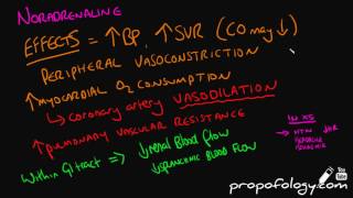 NoradrenalineNorepinephrine in 3 Minutes Pharmacology [upl. by Otxilac]