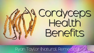 Cordyceps Benefits for Health [upl. by Herzen]