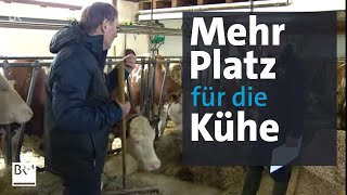 Landwirtschaft Bessere Haltung für Kühe durch Kombinationshaltung  Abendschau  BR24 [upl. by Yarg]