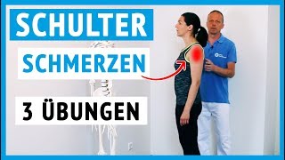 Schulterschmerzen  3 Übungen für zuhause einfach [upl. by Hatfield]