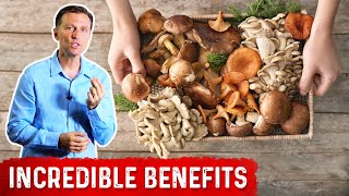 Seven Amazing Mushrooms and Their Powerful Properties [upl. by Braden]