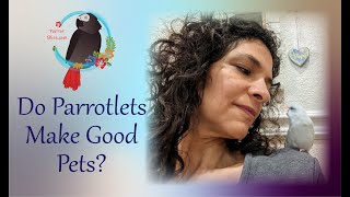 Do Parrotlets Make Good Pets [upl. by Darcey]