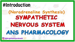 0Sympatethic Nervous System Pharmacology  Noradrenaline synthesis [upl. by Bartlett]