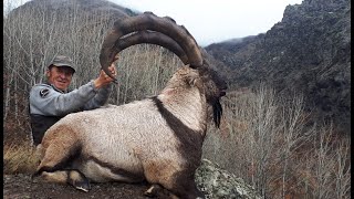 BEZOAR IBEX HUNTING TURKISH FRONTIER amp MUSTAFA YILMAZ [upl. by Wyck809]