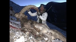 Kyrgyzstan Ibex Hunt [upl. by Othilia260]