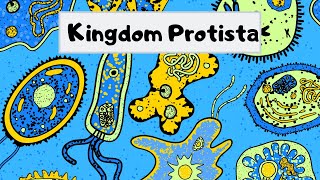 Kingdom of Protista [upl. by Parris]