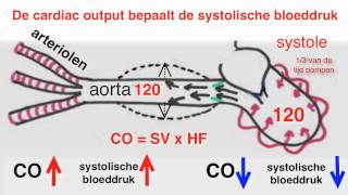 Bloeddruk [upl. by Noremak]