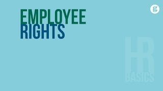 HR Basics Employee Rights [upl. by Naehs]