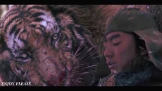 Tiger VS Wolf Fight Scene HD [upl. by Nnaytsirk496]