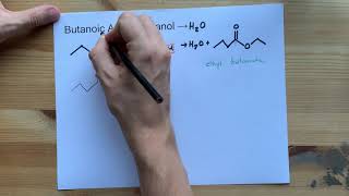 Butanoic Acid  Ethanol  Ester Reaction with Mechanism [upl. by Maibach]