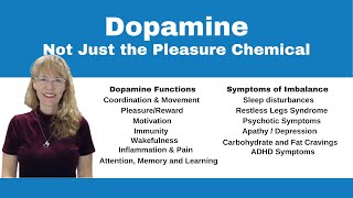 Demystifying Neurotransmitters Serotonin Dopamine and Beyond [upl. by Illil]