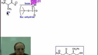 Peptide Synthesis [upl. by Iliak296]