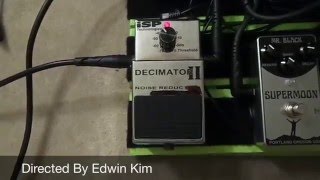 ISP Technologies Decimator II Noise Reduction Pedal Review [upl. by Beaston]