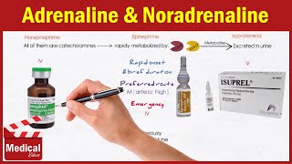 Pharmacology ANS 14 Direct Acting Adrenergic Agonists Adrenaline  Noradrenaline Isoprenaline [upl. by Orravan]