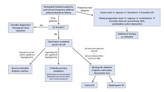 An Approach to Polyuria [upl. by Mixie]