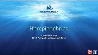 Norepinephrine [upl. by Manchester22]