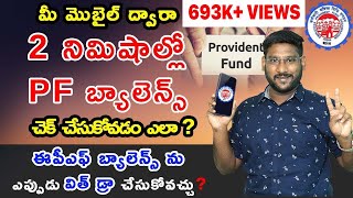 How To Check PF Balance Online In Telugu  Umang App Details  Check Your EPF Balance In 2 Minutes [upl. by Notwen]