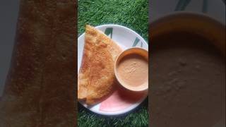 Wheat Flour Dosa Recipe  A Quick amp Easy Breakfast Idea [upl. by Delos46]