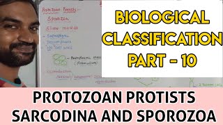 Biological Classification  Part 10  Protozoan Protists [upl. by Ameer]