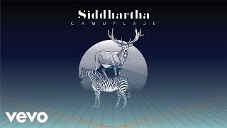 Siddhartha  Camuflaje Cover Audio [upl. by Maurie131]