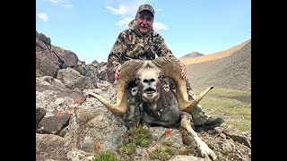 Hunting Altay argali and ibex in Mongolia July 2019 [upl. by Rede]