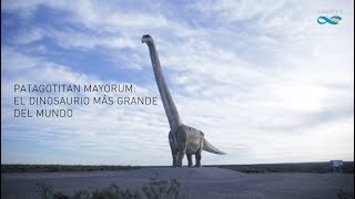 Patagotitan mayorum el dinosaurio más grande del mundo [upl. by Cirtap]