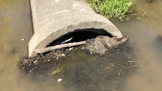 Unclogging Giant Culvert [upl. by Sanford702]