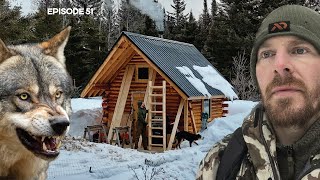 WOLVES Loft Floor New Stairs EP51 Log Cabin Build on OffGrid Homestead [upl. by Aihsenor]