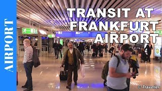 TRANSIT WALK AT FRANKFURT Airport FRA Terminal 1  Connection Flight Transfer Arriving amp Departing [upl. by Rabah]