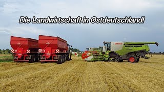 Die Landwirtschaft in Ostdeutschland [upl. by Nyleahs]