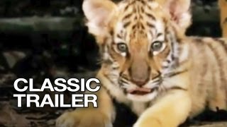 The Survival Of A Tiger TIger Documentary Real Wild [upl. by Devy542]