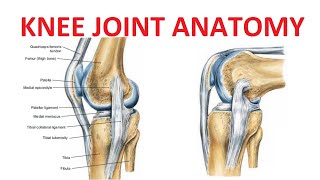 Arthroscopic Knee Surgery Meniscus Tear [upl. by Gibert]