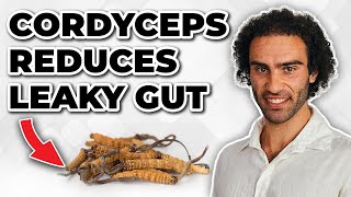 Cordyceps Mushroom Heals Leaky Gut More Benefits Cordyceps Militaris [upl. by Gorges]