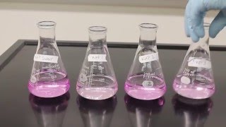 Titration Video [upl. by Ambert]