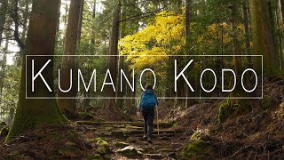 HIKING  The KUMANO KODO Trail Japan [upl. by Griselda]