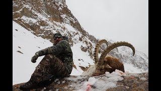 Himalayan Ibex Hunt catch clean cook [upl. by Enajharas]